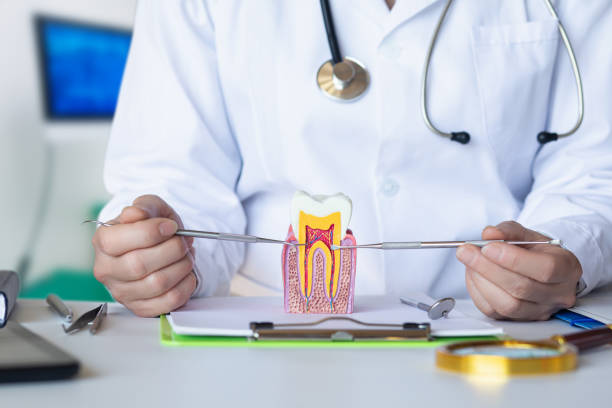 Best Emergency Dental Care for Trauma or Injury in Center, TX